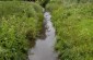 The Garka river where the Jews from Kolonia Nowosiolki  were brought for forced labor © Olga Szymerowska/Yahad-In Unum