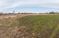 The execution site, a former flax pit where 48 people, mainly Jews, were murdered. ©Les Kasyanov/Yahad - In Unum