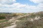 The location of the anti-tank ditches where about 150 Jews who died from starvation and mistreatment were buried. ©Les Kasyanov/Yahad - In Unum