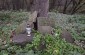 A few fragments of tombstones preserved in the Jewish cemetery. ©Piotr Malec/Yahad - In Unum