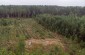 A drone view of the execution site of the Jews in Dovbysh. Today, it is located in the forest close to the village of Ivanivka. © Les Kasyanov/Yahad - In Unum