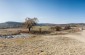 The location of the mass grave where 16 Jews were buried after being sporadically shot on the streets of the town by Romanian soldiers in July 1941. The Jews were killed at the start of the occupation. ©Les Kasyanov/Yahad-In Unum