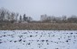 The location of the stables where a labor camp was created. Several hundred Jews were confined here and used as forced labor for road construction.  ©Les Kasyanov/Yahad - In Unum