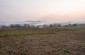 The former location of the cowsheds that belonged to the collective farm Kommunar where a part of Jewish refugees from Bukovina and Bessarabia were confined. © Les Kasyanov/Yahad-In Unum.