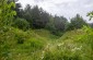 The former ravine where circa. 1,000 Jews were murdered in August 1942.    ©Les Kasyanov/Yahad – In Unum