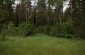 The mass shooting site of the Jews near Kovchitsy. ©Sabine Mirlesse/Yahad - In Unum