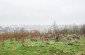 The surviving Jewish cemetery in Tuchyn. ©Les Kasyanov/Yahad - In Unum