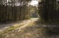 The Jewish men and women had to walk on foot about 7 km from Korets to the shooting site by way of this road ©Victoria Bahr/Yahad-In Unum