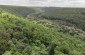 A drone view at the Fedor Hill, an execution site of Jews in Buchach.© Aleksey Kasyanov/Yahad-In Unum