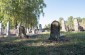 The remaining tombstones at the Jewish cemetery in Luchynets. © Aleksey Kasyanov/Yahad-In Unum