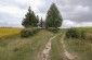 © Guillaume Ribot - Yahad-In Unum The execution site where the Jews from Romaniv were executed. The site is located between two fields. . Execution site n°1. © Les Kasyanov/Yahad – In Unum