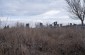 The territory of the Jewish cemetery. © Les Kasyanov/Yahad-In Unum.