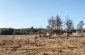 The execution site, a former flax pit, where 48 innocent people, mainly Jews, were shot. It remains unknown where the Jews came from. They may be Jews from nearby villages who were hiding or Hungarian Jews brought here as forced labor. ©Les Kasyanov/Yahad