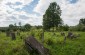 The former Jewish cemetery in Iabluniv. ©Les Kasyanov/Yahad - In Unum