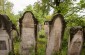 The surviving tombstones at the Jewish cemetery in Banyliv. ©Les Kasyanov/Yahad-In Unum.