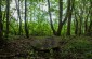 A Jewish tomb in the former Sverzhen Jewish cemetery. ©Sabine Mirlesse/Yahad - In Unum