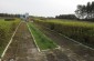 The mass shooting site of the Slonim Jews in the Chepelevskiy fields. ©Nicolas Tkatchouk/Yahad - In Unum