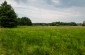 The killing and burial site where 7 or 8 Jews from Gorzków were  killed by the Germans in 1942 or 1943. The victims were buried in place and their  bodies remain at the site. ©Piotr Malec/Yahad-In Unum