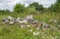 The surviving tombstones at the Jewish cemetery. ©Les Kasyanov/Yahad – In Unum