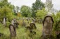 The surviving tombstones at the Jewish cemetery in Banyliv. ©Les Kasyanov/Yahad-In Unum.