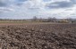 The location of the mass grave of the Jews who died in the cowsheds due to the diseases, lack of food and inhumane living conditions. The cowsheds were located not far away but have been destroyed.      © Les Kasyanov/Yahad-In Unum