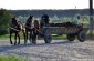 Typical horse cart which is still used in the rural areas as a mean of transport. © Ellénore Gobry – Yahad-In Unum