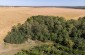 A drone view at the location of the execution site. ©Les Kasyanov/Yahad- In Unum