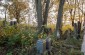 Jewish cemetery in Storozhynets. According to the Soviet archives, about 90 Jews were reburied here after being shot on the streets. ©Les Kasyanov/Yahad-In Unum