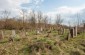 The Jewish cemetery in Stanislavchyk. ©Les Kasyanov/Yahad - In Unum