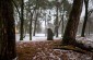 The location of the Jewish cemetery in Prienai. There are no tombstones left, only one monument. Today, it is a park. ©Pawel Szupiluk/Yahad - In Unum