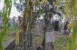 The surviving tombstones at the Jewish cemetery in Khmilnyk. About 368 (or 400) Jews were shot in different parts of the Jewish cemetery. ©Les Kasyanov/Yahad - In Unum.