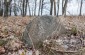 The remaining tombstones at the former Jewish cemetery in Viazivka.  ©Les Kasyanov/Yahad - In Unum