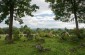 The former Jewish cemetery in Iabluniv. ©Les Kasyanov/Yahad - In Unum