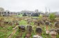 The surviving Jewish cemetery in Tuchyn. ©Les Kasyanov/Yahad - In Unum