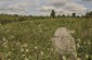 The former Jewish cemetery in Gorodok. ©Nicolas Tkatchouk/Yahad - In Unum