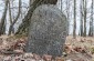 The remaining tombstones at the former Jewish cemetery in Viazivka.  ©Les Kasyanov/Yahad - In Unum