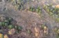 A drone view at the mass grave of about 500 Jews murdered here on September 13, 1941. © Les Kasyanov/Yahad-In Unum.