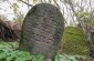 The remaining tombstones of the old Jewish cemetery are overgrown with vegetation and trees. ©Les Kasyanov/Yahad-In Unum