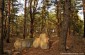 The remaining tombstones at the Jewish cemetery in Tomashovka. ©Nicolas Tkatchouk/Yahad – In Unum