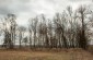 The former Jewish cemetery in Viazivka. ©Les Kasyanov/Yahad - In Unum