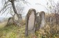 Jewish cemetery in Chudei. ©Les Kasyanov/Yahad-In Unum