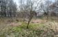 The former Jewish cemetery in Yaltushkiv with some surviving tombstones. ©Les Kasyanov/Yahad - In Unum