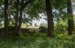 The burial site at the Jewish cemetery in Markuszów, where the bodies of 30 Jews, including a woman and her two children, killed by Germans in the summer 1942, were buried in a common grave. © Les Kasyanov/Yahad - In Unum
