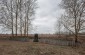 The first execution site, located 1 km north of Narodychi. In late August 1941, several hundred Jews were murdered here. ©Les Kasyanov/Yahad - In Unum