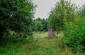 The execution site of 185 Jews from Kodnya murdered in August 1941. The victims were separated into two groups: the men were killed in one pit, while women and children in another one. ©Les Kasyanov/Yahad – In Unum