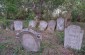 The territory of the Jewish cemetery in the middle of the forest that still exists. ©Les Kasyanov/Yahad-In Unum