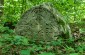 Picture taken at the old Jewish cemetery. ©Les Kasyanov/Yahad - In Unum