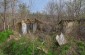 The remains of a few stone houses and a large, ruined cellar can still be seen on the opposite side of the road from the library. ©Les Kasyanov/Yahad-In Unum -In Unum