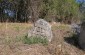 The location of the Jewish cemetery with some tombstones. ©Les Kasyanov/Yahad-In Unum