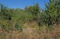 The location of the mass grave where the corpses of the Jews from Bukovina, who died in the ghetto under the Romanian occupation, were buried. The site is located near the orthodox cemetery in the East of the village. ©Les Kasyanov/Yahad-In Unum -In Unum